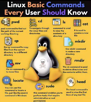 Gallery linuxcommands.jpeg